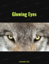 Logo forLysende Øjne